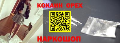 СК Новодвинск