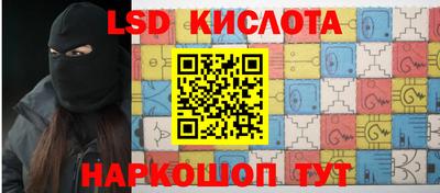 СК Новодвинск