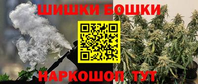 СК Новодвинск