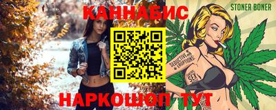 СК Новодвинск