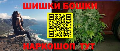 СК Новодвинск
