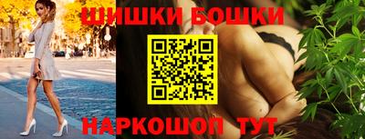 СК Новодвинск